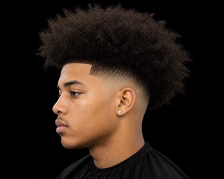 High Skin Fade with Full Afro Top — barber reference photo