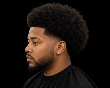 Temple Fade With High Afro And Shadow Blend — barber reference photo