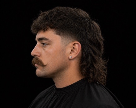Curly Modern Mullet With Low Blend — barber reference photo